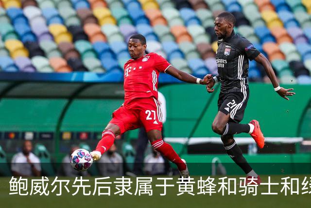 鲍威尔先后隶属于黄蜂&骑士&绿军 最终与隆多一起被交易至独行侠
